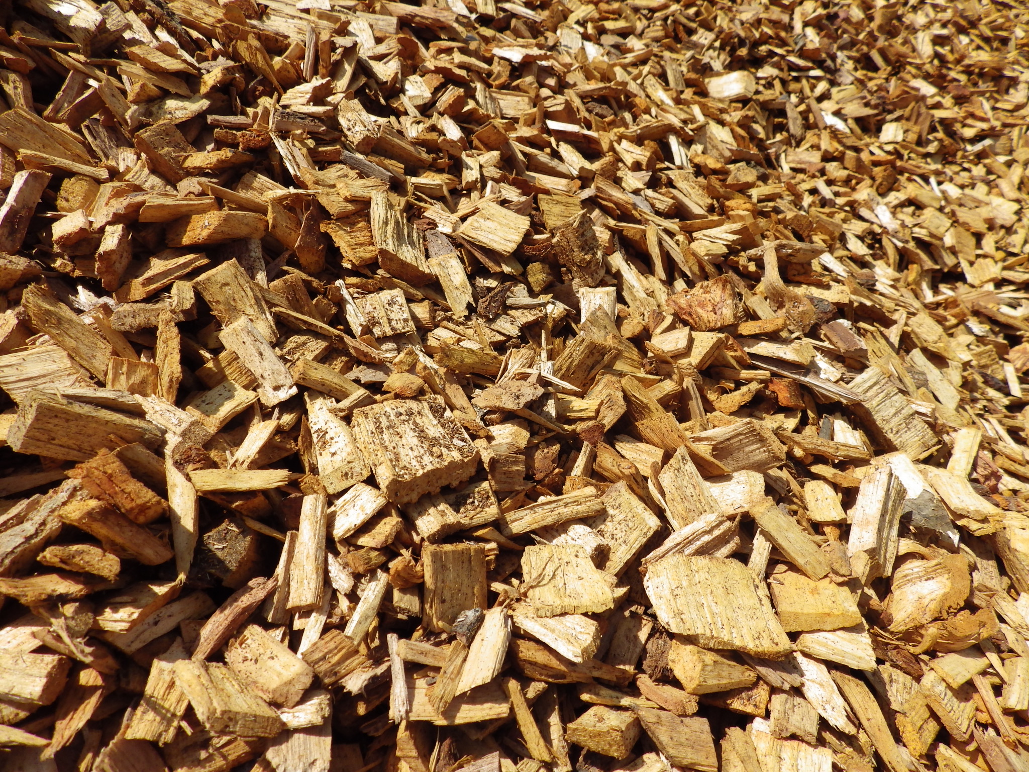 Copeaux de bois d