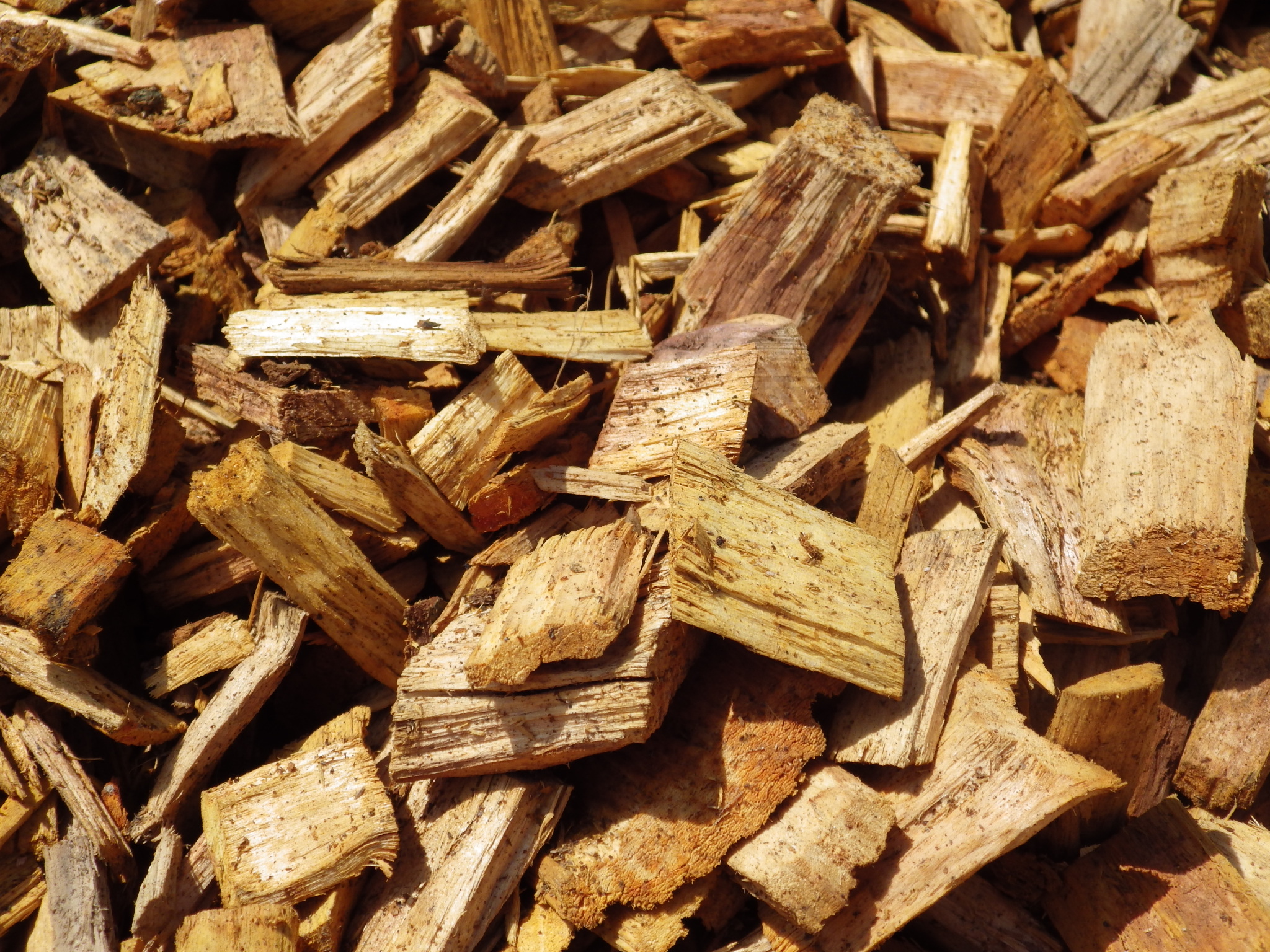 Copeaux de bois d'aulne vrac - Pépinières de la Rivière - Pépinière